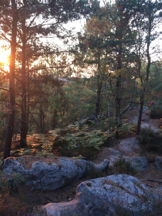Chambres Au Coeur Du Massif Des Trois Pignons Noisy-sur-Ecole Exteriör bild