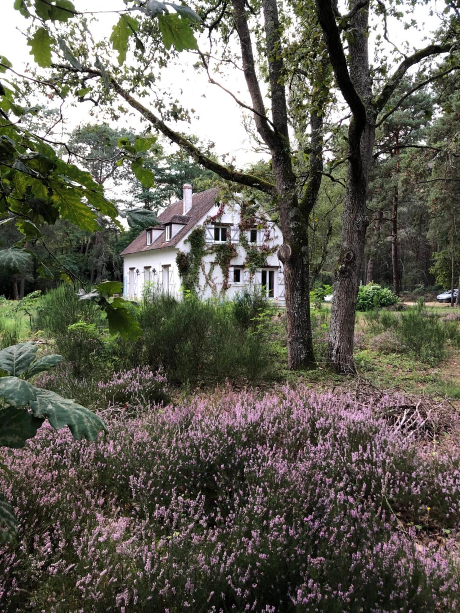 Chambres Au Coeur Du Massif Des Trois Pignons Noisy-sur-Ecole Exteriör bild